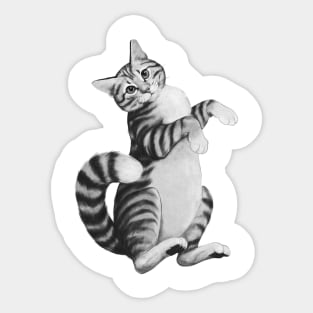 Calico Cat Sticker